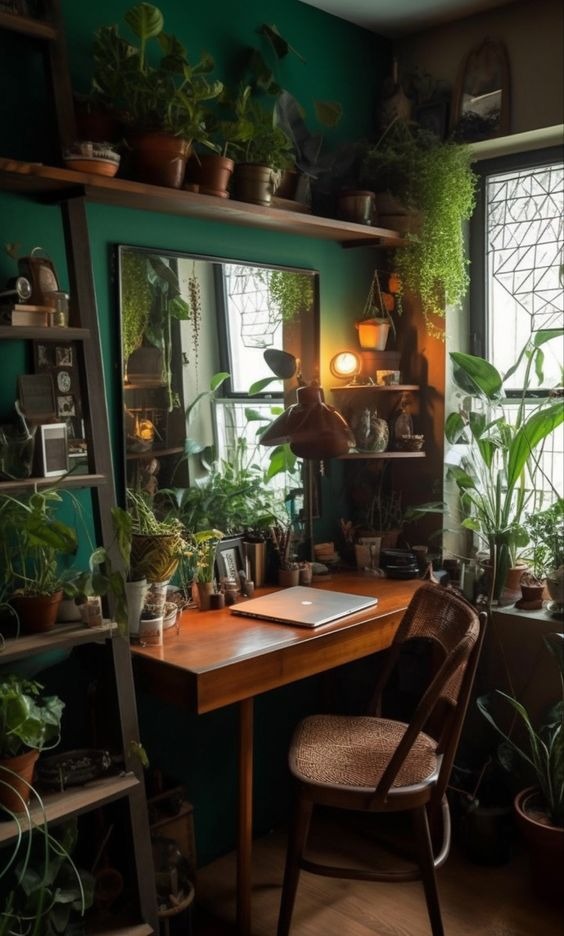 25 лучших комнатных растений, которые оживят ваш дом - постер к новости